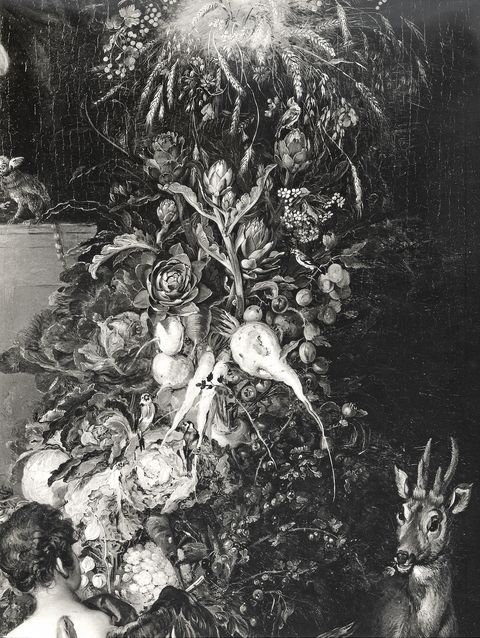 Anonimo — Brueghel Jan il Vecchio; Balen Hendrik van I - sec. XVII - Ghirlanda frutta e ortaggi con cervo — particolare